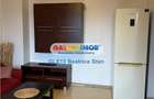 Inchiriere apartament 2 camere cochet Chitilei - Parcul Bazilescu - 6