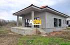 Casa nouă 123 mp utili, semifinisată, 535 mp teren, pod mansardabil - 1