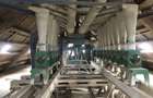 Moară cereale 50 t/zi + afacere funcțională | teren + hale | Bihor - 5