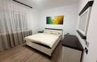 Vand vila de lux Aradului 660000 euro - 11