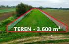 Teren 3.600 m² in Odoreu | 7 km de Satu Mare | 160 m de Principala - 3