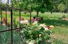Oaza de liniste cu izvor natural si padurice - 3800 mp intravilan in Mastacani - 1