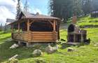 Investitie profitabila in Bucegi | Cabana turistica complet echipata - 2
