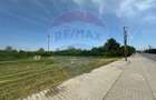 Teren 545,000mp Dragomiresti-Vale - 6