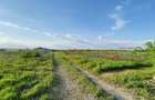 Teren Corbeanca, Balotesti, retras, cu pădure si lac in apropiere - 6