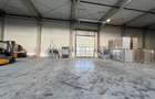 Hala industriala de inchiriat, zona Parcului Industrial II Oradea, Bihor - 6