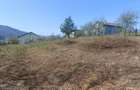 Teren cu vedere superbă in natură  - 1