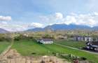 Casă premium la poalele Munților Piatra Craiului și Bucegi - 6