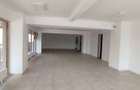 Inchiriere spatiu comercial, 120 mp, zona Calea Severinului - 8
