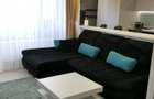 De vanzare ap 2 camere mobilat Baba Novac Belvedere - 3