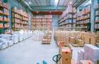 Hale de inchiriat Chitila, GLOBAL LOGISTIC PARK,  1.500 - 18.000mp - 5