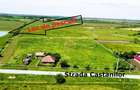 Teren generos si versatil - 10.850 mp | Balta Blonda | Diverse proiecte - 3