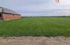 Teren de vanzare, ideal pentru construire, zona Remetea Mare - 1