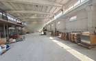 Hala Industriala - Depozit - 1