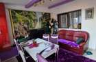 Vanzare vila 4 camere Colentina-Gherghitei - 10