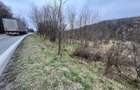 Teren intravilan 6.500 m²–Deschidere 144 ml drum european E81, km 35, Morăresti - 2