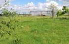 Lac de agrement pentru pescuit – Proprietate completă, 8,1 ha | De vânzare - 10