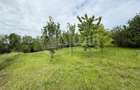 Teren intravilan cu casa renovabila | 2500mp teren | Front 21m | Aiton - 6