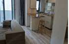 Apartament de închiriat 2 camere, 5 minute parc Herestrau - 2