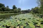 Teren+CASA 8000mp Deschidere 36ml Lacul Snagov - 3