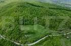 Teren superb, în mijlocul naturii, 18.360 mp, la Cărjiți - 2