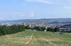 Oportunitate de investiție Teren intravilan, 3150 mp , Panoramic , Dambu Rotund - 6