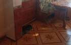 Berceni-Aleea Tomesti- 3 camere cu centrala - 11