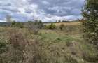 4 ha Drăghici–Mihăești | 3 ha teren + 1 ha pădure | asfalt |toate utilitățile