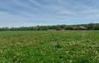 Teren de vanzare intravilan 5000 m2 Cisnadie zona SOMA - 1