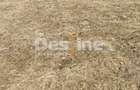 Teren 5000 mp, ideal cabana, pensiune,  in zona de interes  turistic  Rucar-Bran - 6