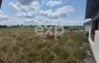 Casă P+pod, 100 mp utili, teren 892 mp –  Bod, jud. Brașov 154900 Euro - 5