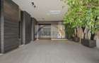 Apartamentul perfect in Aviatiei- Mall Promenada - 17
