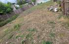 TEREN CUMPANA| 398mp| CENTRAL|IDEAL CASA| - 2