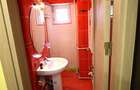 Apartament spatios langa Ghencea Business Center - 10