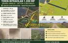 TEREN PREMIUM 1.200 MP – DRUMUL BINELUI, SECTOR 4 ! - 1