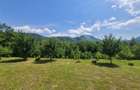 FILM! Oaza paradisiaca cu lac, vedere catre Bucegi, Glajerie/ Rasnov, pretabil C - 3