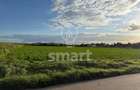Teren Bistrita Valea Jelnei 19 eur mp - 2