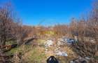 Teren intravilan de vanzare Bragadiru - 2