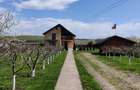 Casă mare cu teren 2600 mp în Dragomirna – garaj dublu, fotovoltaice, puț forat, - 5