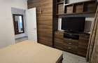 Apropiere parc Sebastian Barca acces linia 32 Rahova Petre Ispirescu mobilat - 4