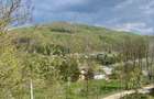Teren plat cu deschidere la lacul Paltinu, acces facil, utilități - 4