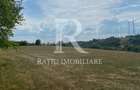Teren Intravilan | 17.500 mp | Șinteu | Bihor - 1
