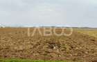 Teren intravilan 2 ha deschidere drum zona Industriala Vest Sibiu