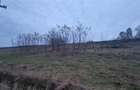 De vanzare teren 1,2 Ha in Laureni - 3