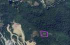 Terenuri extravilan zona Pietroasa spre Boga - 1