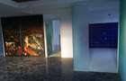 Penthouse Gavana Platou + terasa 470mp - 8