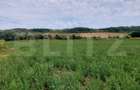 De vanzare teren Fundatura 27500mp - intravilan