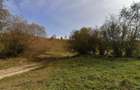 Teren in Sohodol-Bran - 5