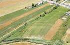 Teren cu potențial de dezvoltare –7427 mp în Argeșelu, Mărăcineni, județul Arges - 7