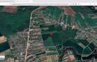 Teren intravilan 18.200 mp Saftica Balotesti - 9